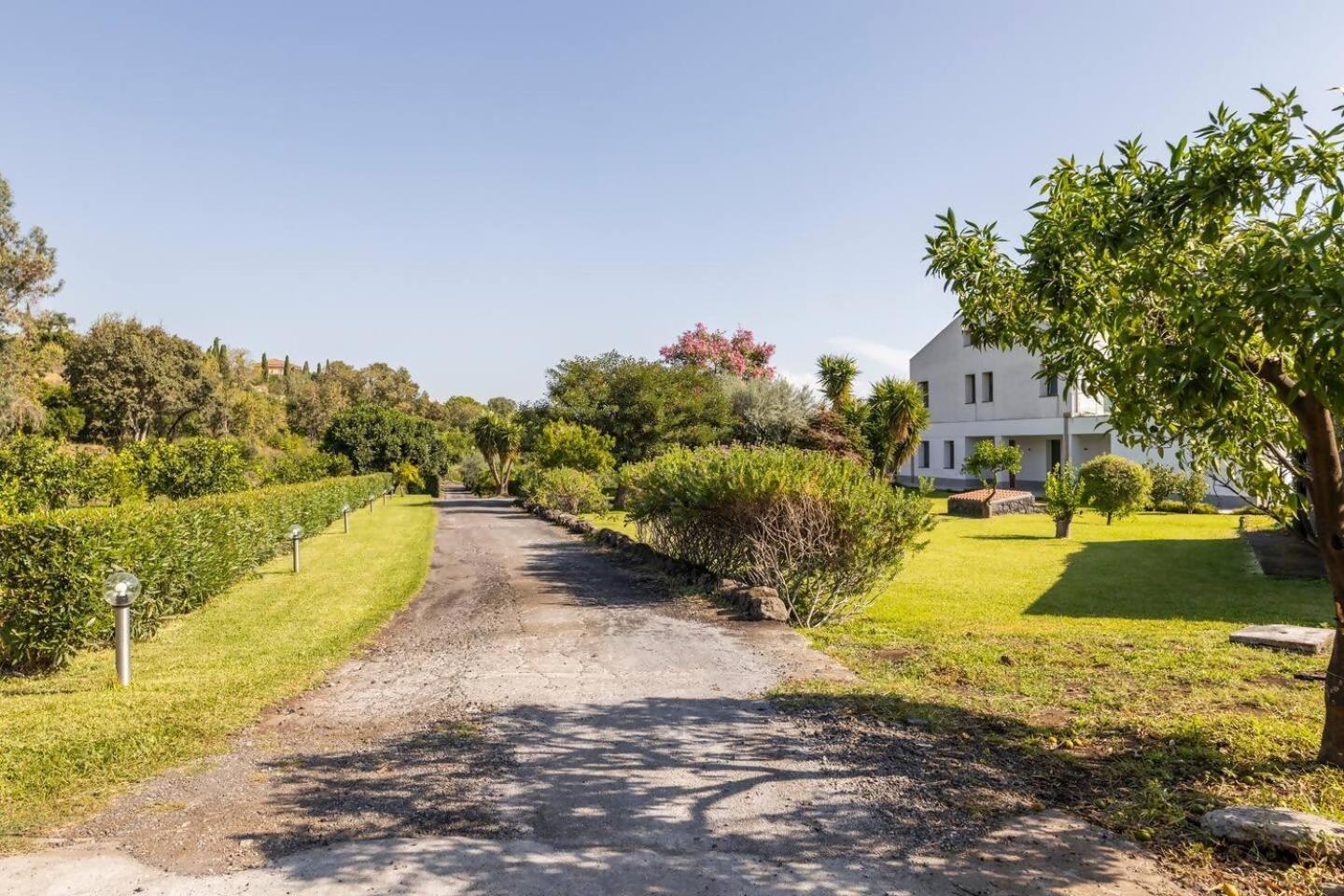 Villa Persea Santa Venerina Exterior foto